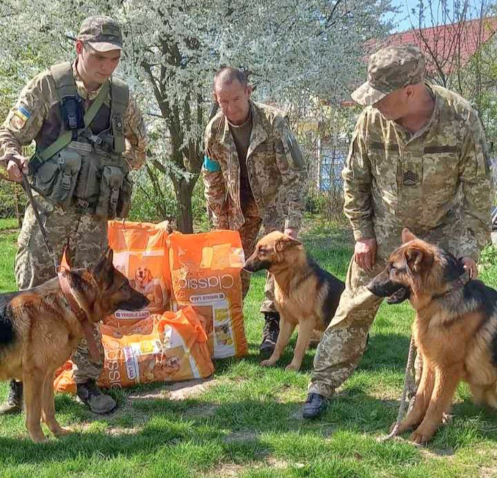 Soldiers and war dogs in Kharkiv.